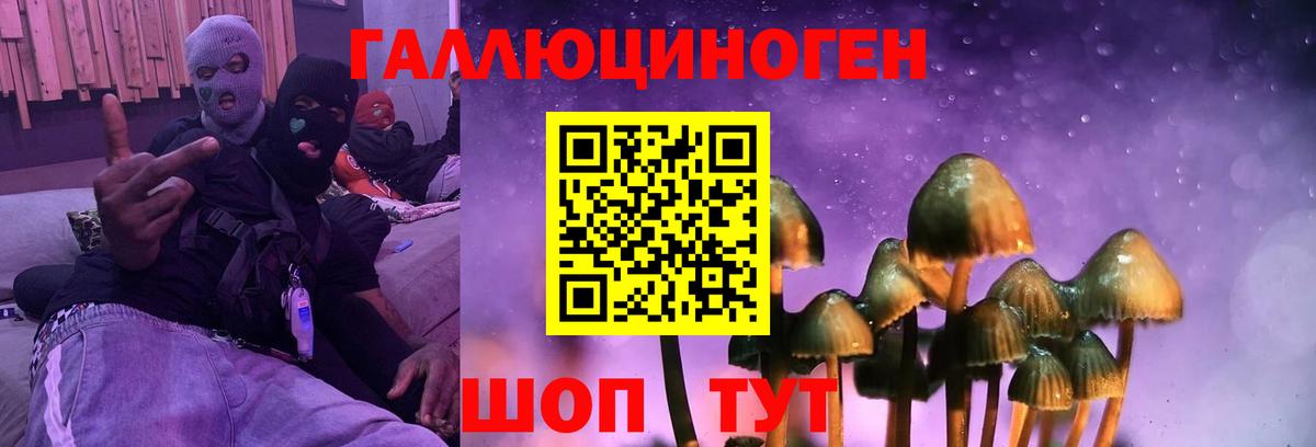 Галлюциногенные грибы MAGIC MUSHROOMS  Вход с VPN  Зерноград 